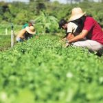 agric.familiar-750x500