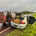 WhatsApp Image 2025-11-18 at 12.47.05