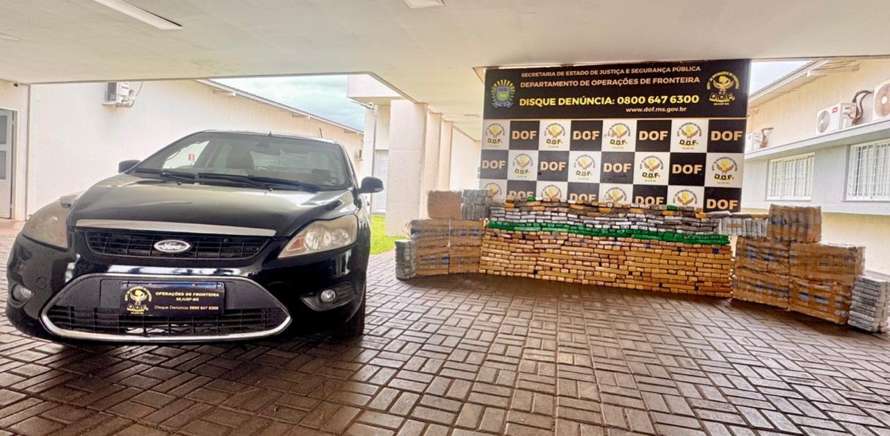 WhatsApp Image 2025-12-29 at 16.46.56