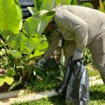 Forca-tarefa-Dengue-12-730x480