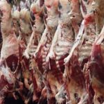 600600p1961EDNmain1602carne