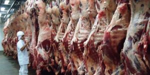 600600p1961EDNmain1602carne