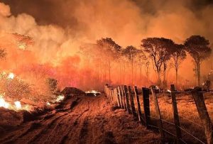 MATO GROSSO DO SUL DECRETA EMERGÊNCIA AMBIENTAL POR RISCO DE INCÊNDIOS FLORESTAIS